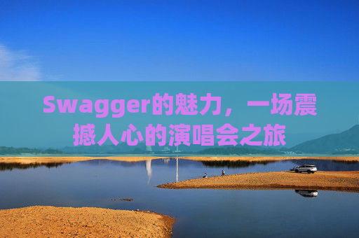 Swagger的魅力，一场震撼人心的演唱会之旅
